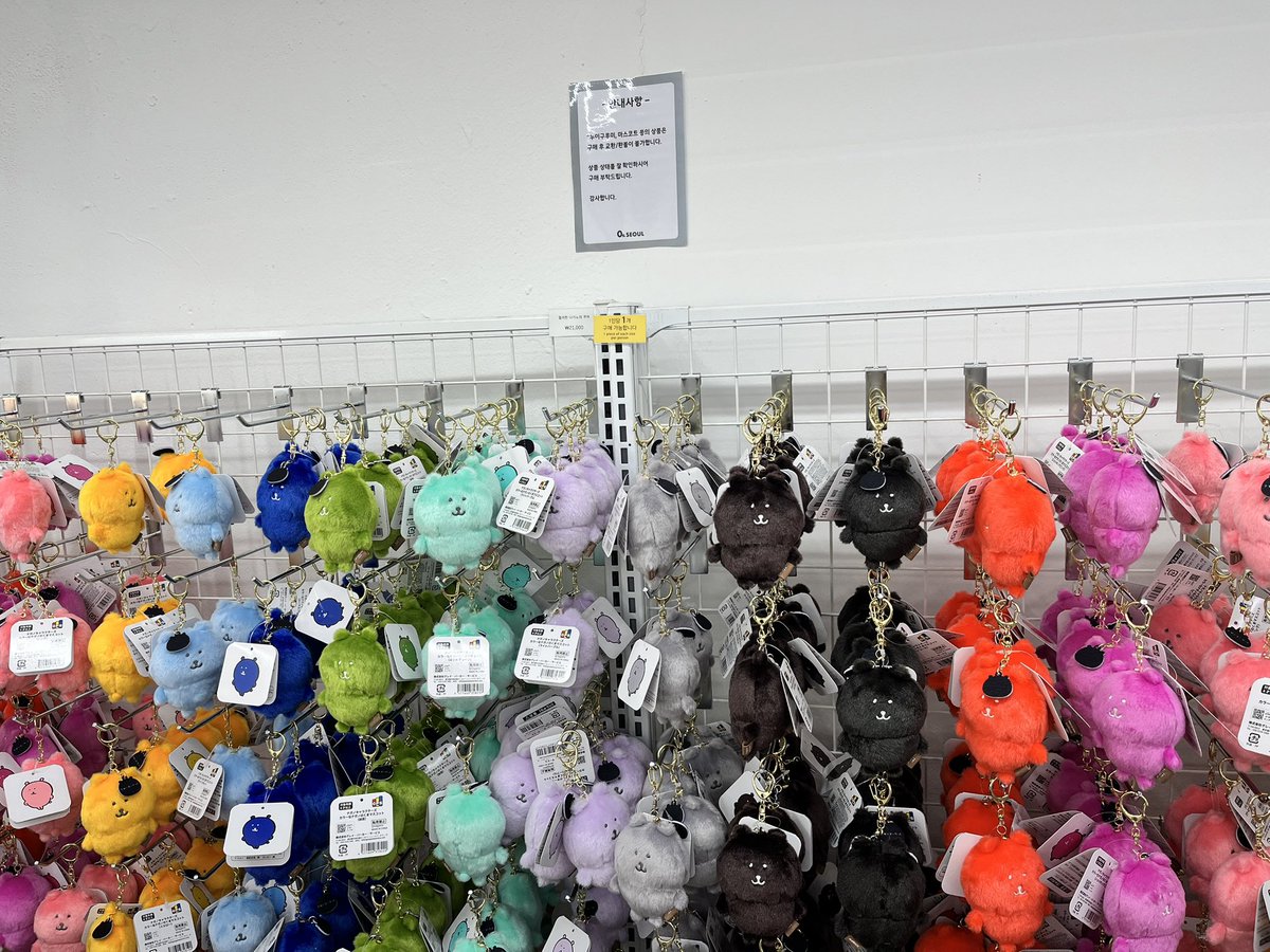 트친에게 은혜를 입어 컬러곰 실물 보고 왔어요