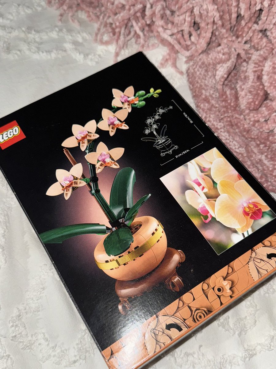 en lo que mi novio esperaba para irme a traer fue a comprarme florecitas 🫰🏼❤️‍🩹