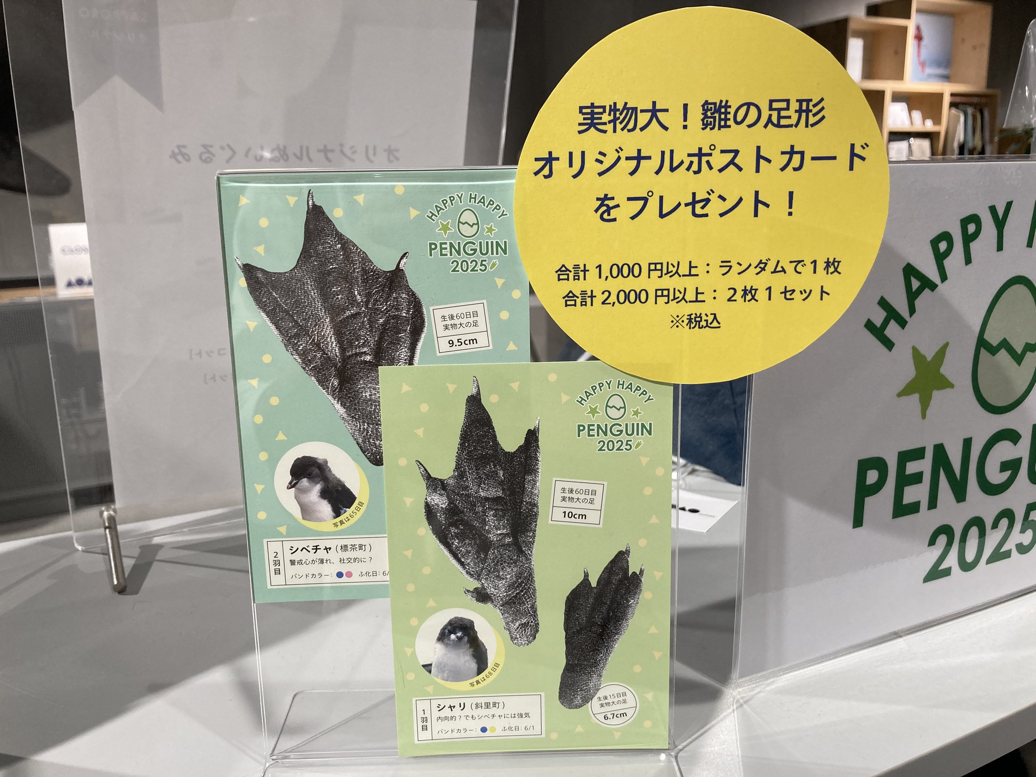 AOAO SAPPORO（アオアオ サッポロ） on X: 