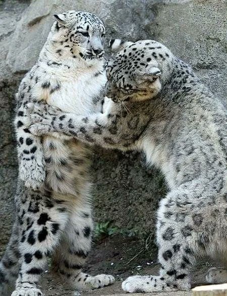 Breathe in…       breathe out…     

Well your lungs seem fine