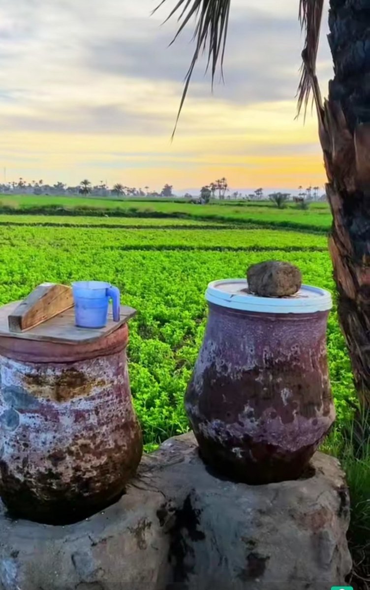 صباحكم المياه والخضرة وكل الجمال ده 😍😍