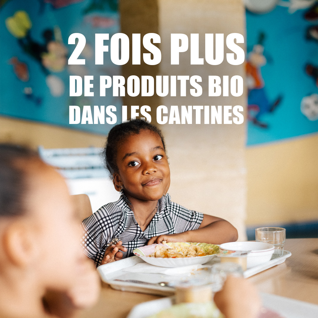 🥕✅ Plus de bio, plus de produits locaux et de saison, moins d'additifs : la Ville de Marseille propose des repas plus sains aux petites Marseillaises et aux petits Marseillais.

Pour en savoir plus : marseille.fr/restauration-s…