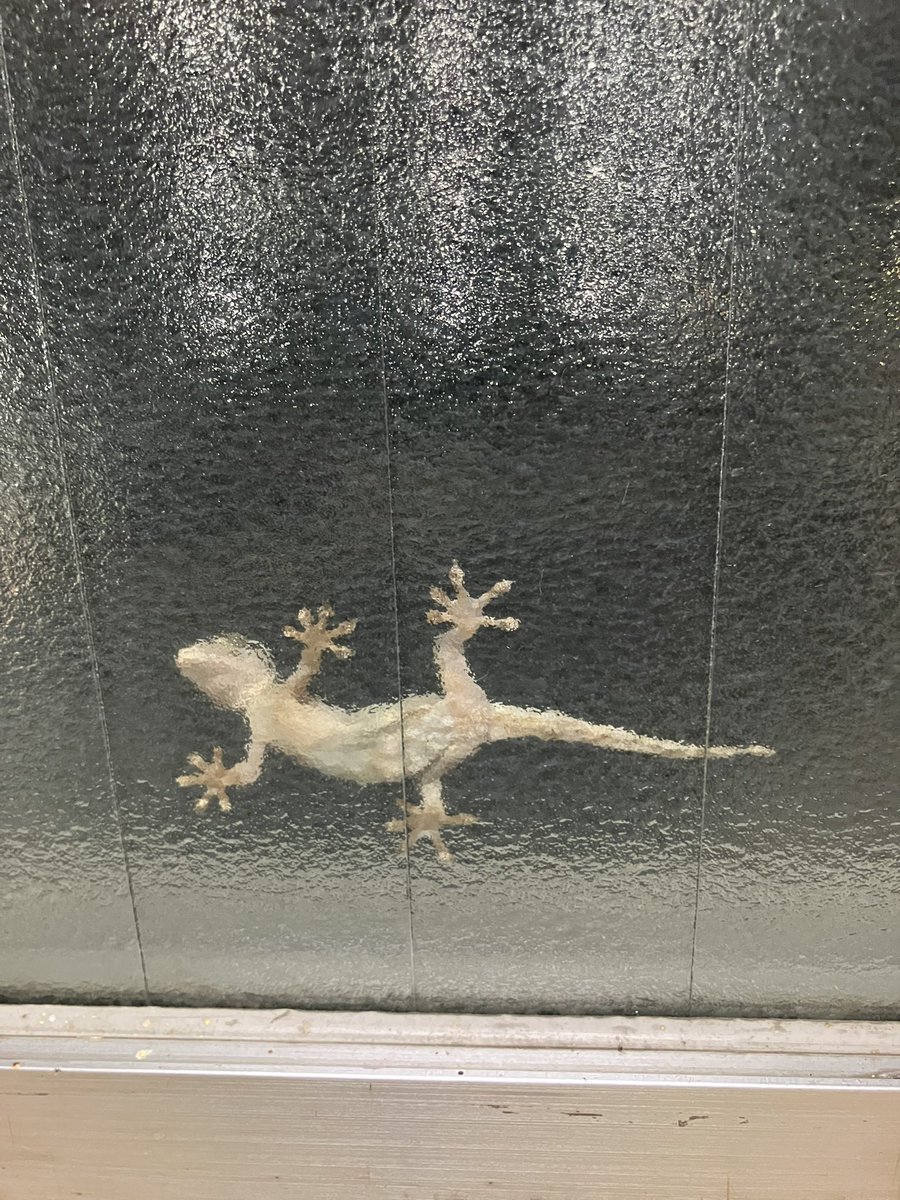 本日、牧師バー！での、聖書勉強会は都合によりお休みします。悪しからずご了承下さい