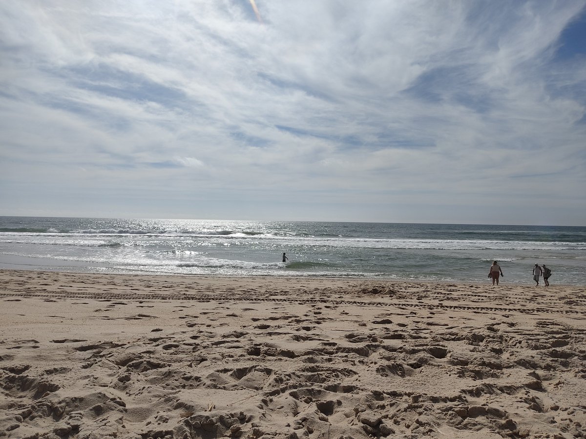 Habrá que ir pensando en volver.