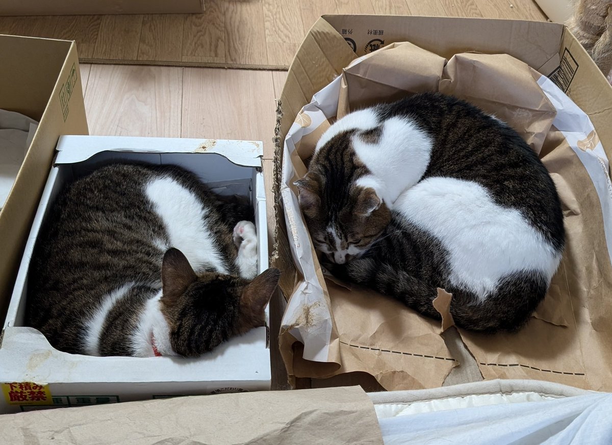 あれ？！
🐱社員基地が増えてる？！