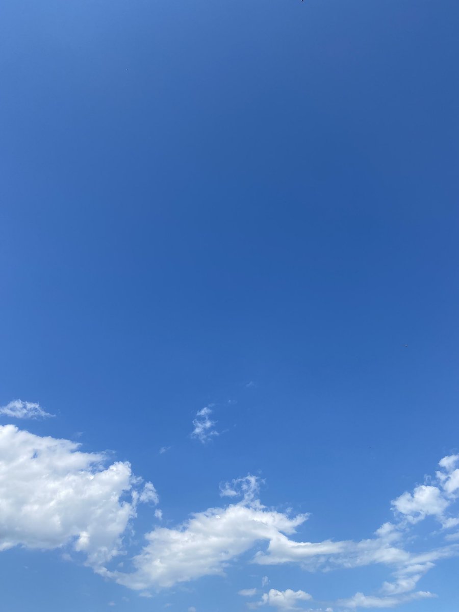 今日も暑いね💧

澄み切った真夏の空に
旅立っていった福助くん🐶🌈

無事着いたかなぁ、、

ずっと主さんたちの事、見守ってあげてね✨