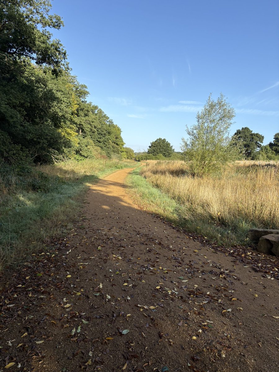 Good morning from The Loop!