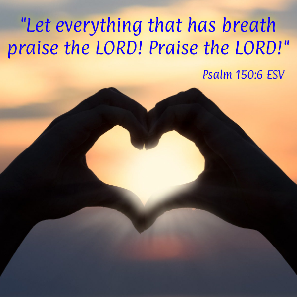 It's always a great day to Praise the Lord! Time to worship the King of Kings, the maker of heaven and earth! ❤️

#christian #christianwriter #christianauthor #christianromanticsuspense #christiandevotional #newsletter #devotionalnewsletter #JesusChrist #gospel #amazinggrace