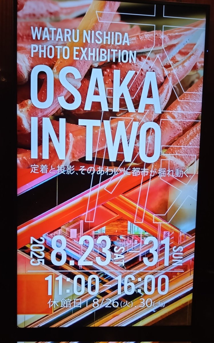 西田航　写真集　5冊セット 西田航 写真集 5冊セット オンライン ショッピング本・雑誌