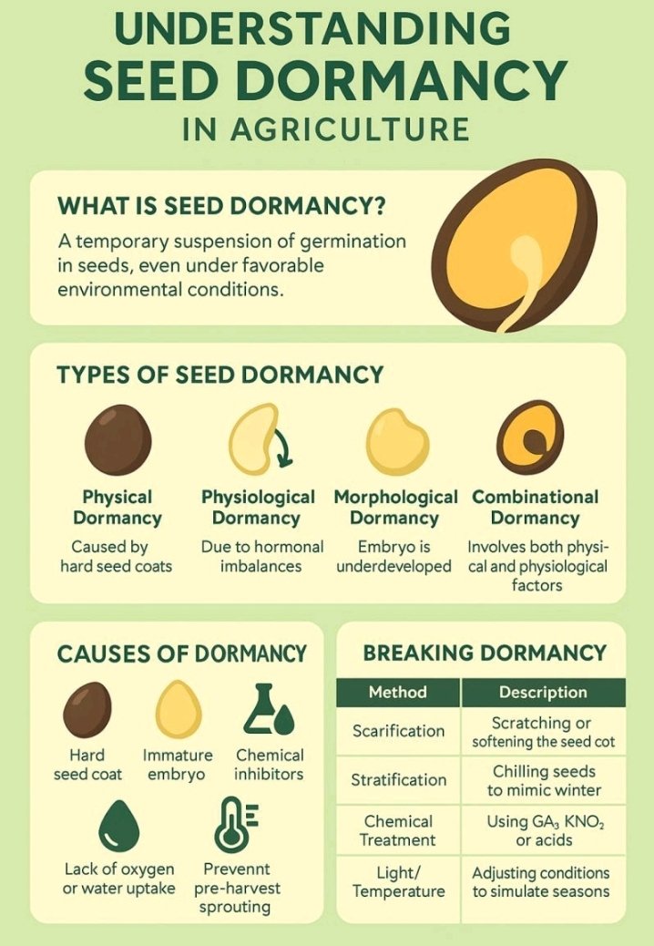 hakpaul1's tweet image. Simple steps of understanding seed dormancy 
Here we go 
#WeForChange