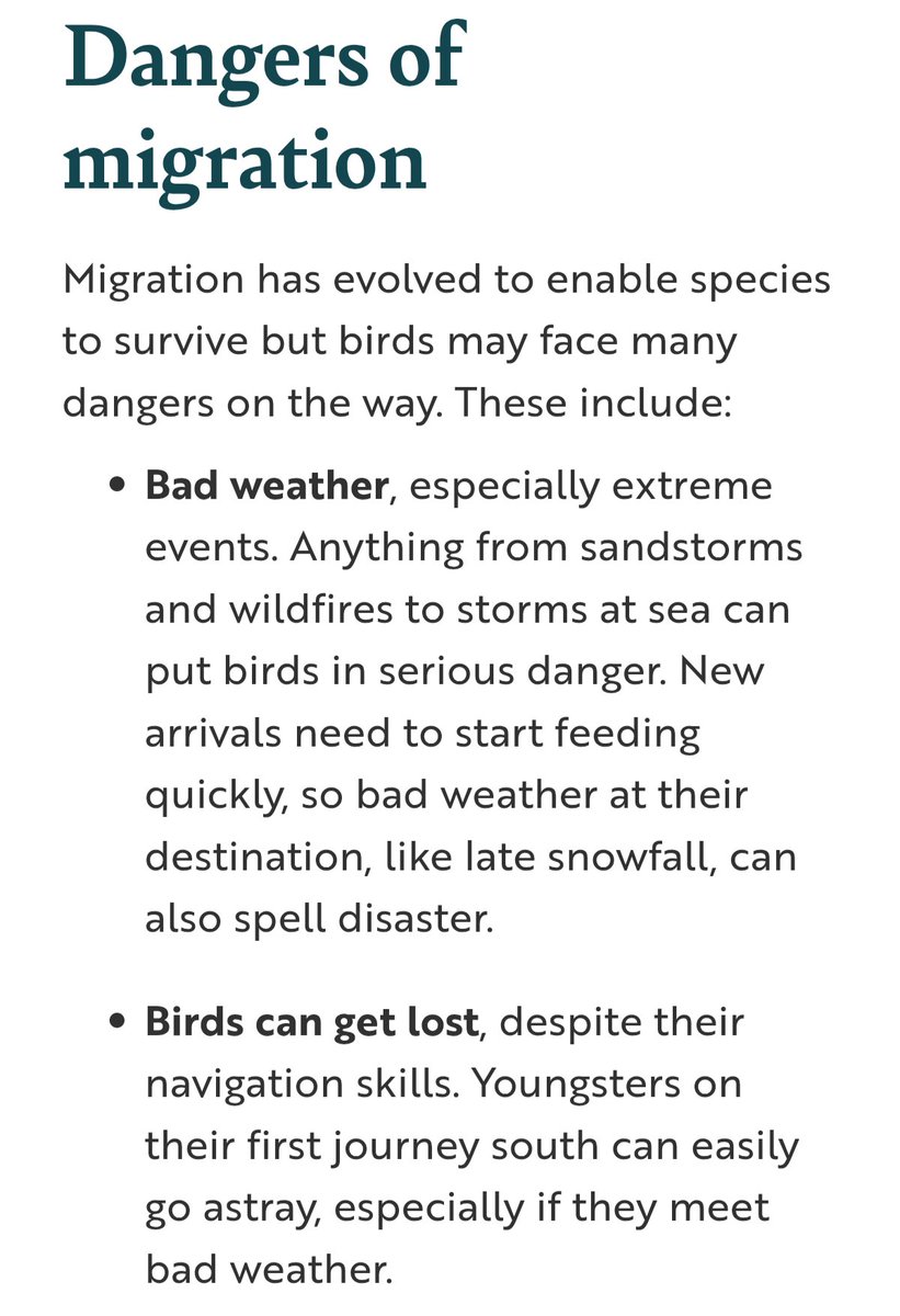 ObservingNature tweet media