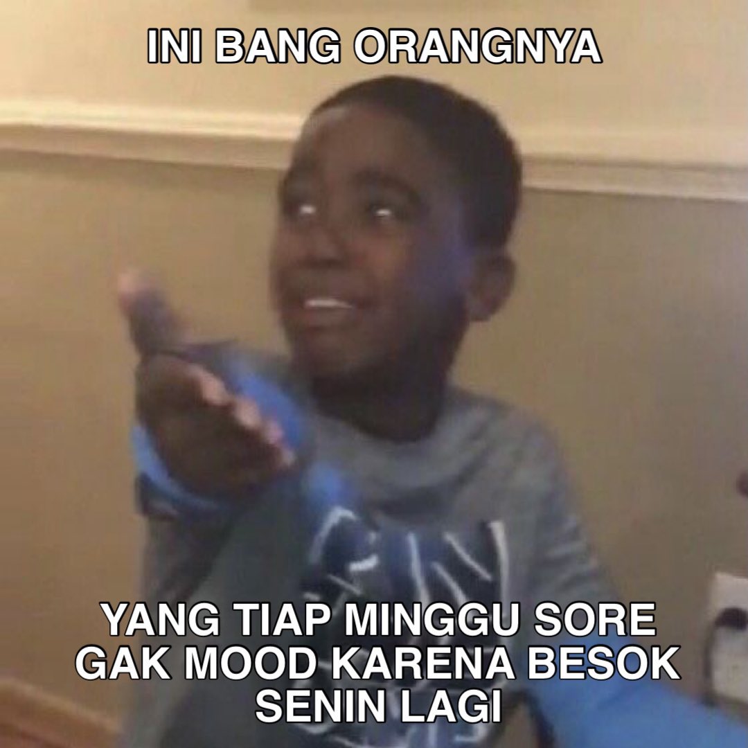 S H E L L A tweet media