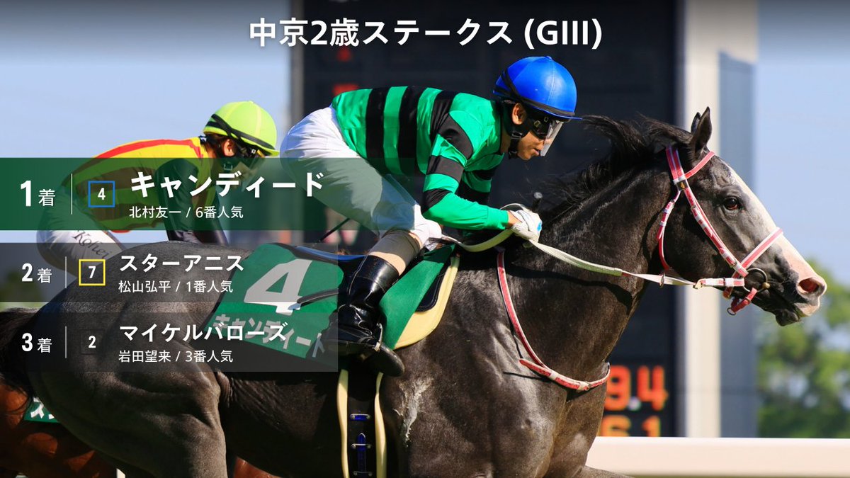 JRA VAN限定 エフフォーリア レーシングパネル WOLFSBURG WEST製 リアバンパーオーバーライダーボウ レフト T-1