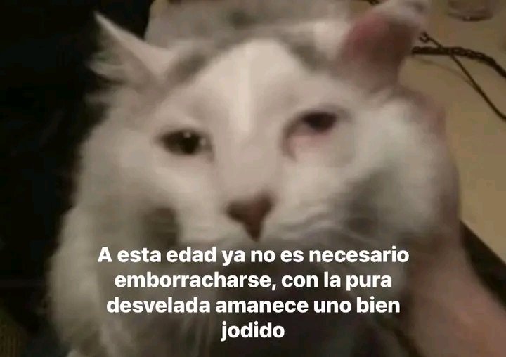 Pinch3 insomnio 😠😤🤬