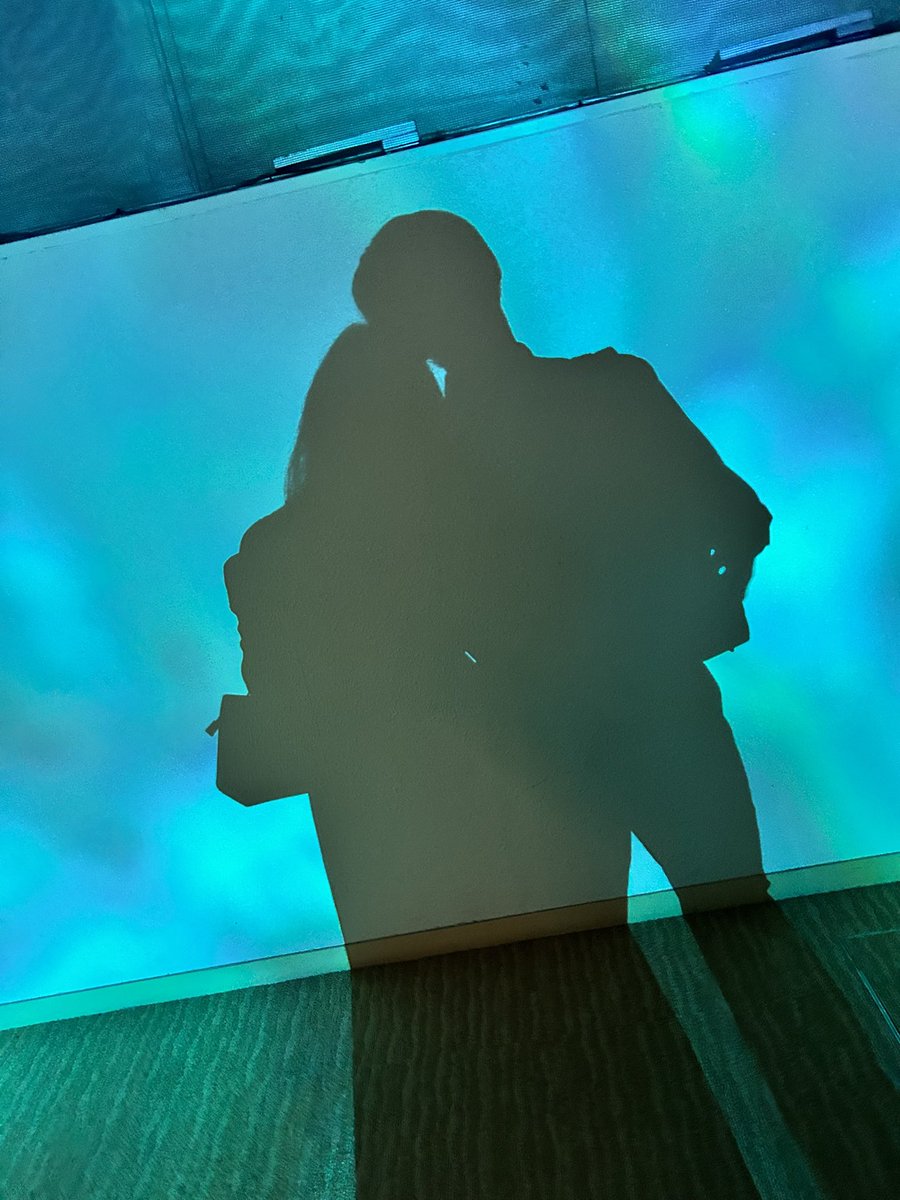 ゆっくりtrs【つる】🦋🥺 tweet media