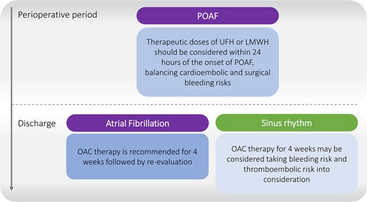 SeguraCardio's tweet photo. 🚨 Antithrombotic therapy after coronary artery bypass graft surgery🫀

Clinical Consensus 📝 of the @escardio WG on Cardiovascular Surgery &amp; WG on Cardiovascular Pharmacotherapy &amp; @EACTS 

#PositionPaper #ESC25 #ESCCongress #DAPT #CardiacSurgery https://t.co/Rep922U9m6