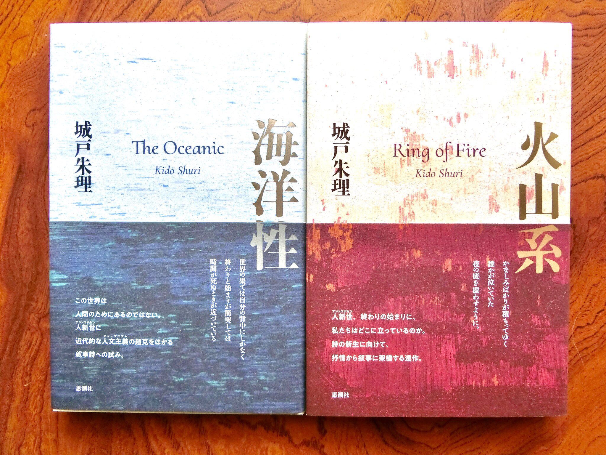 現代詩論 全10巻 思潮社 現代詩論 全10巻 思潮社 現代詩論
