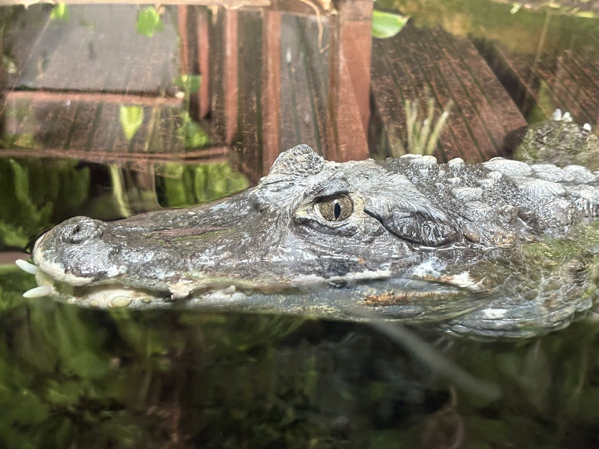 Today’s theme is #Observation but who is observing who? #DailyPictureTheme #nausicaa