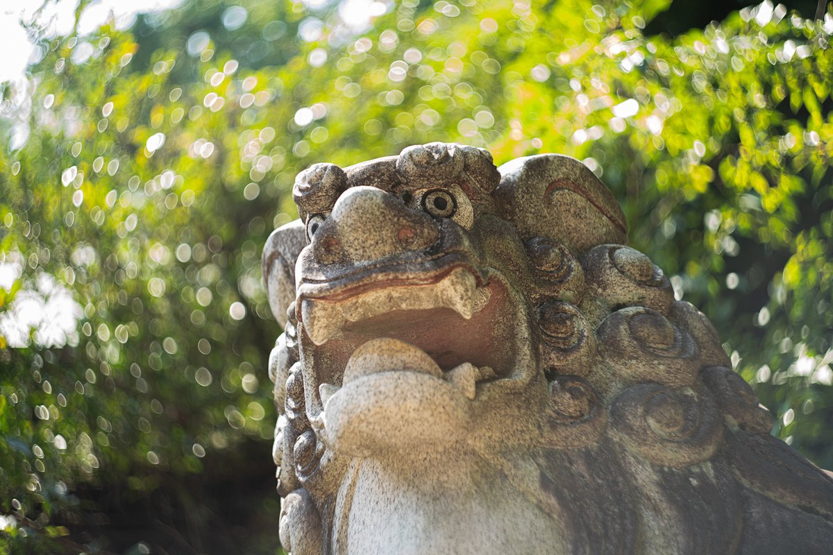 りんりんページ SR-2012 鉄押しバネ WAKI(和気産業) 外径8.5mm線径0.6mm自由長