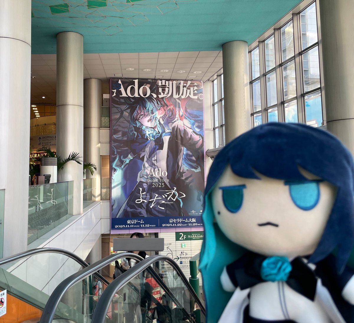 前の人絶対うっせぇわ好きのAdoファンじゃん！！！

あと渋谷のよだか広告見れました〜(.⩌  ̫ ⩌ )💙✨