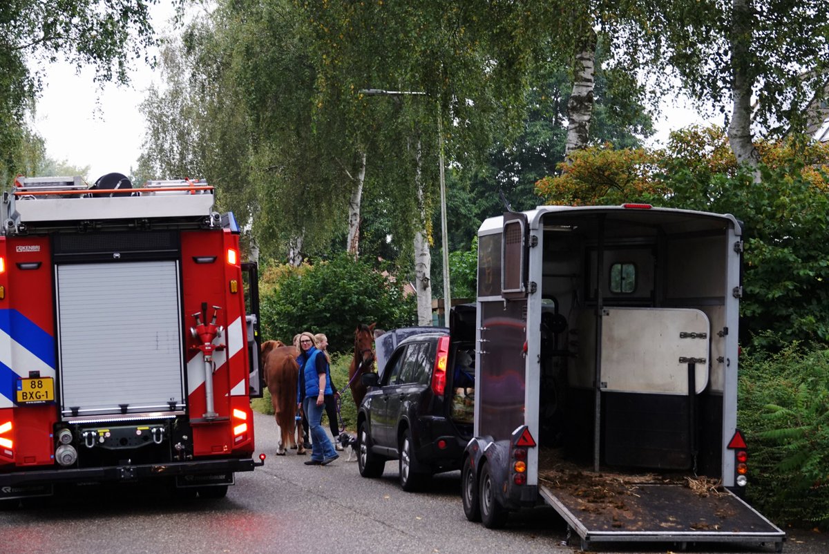 🚨 Schrik in Zwolle-Zuid: auto met paardentrailer langs de kant, paarden veilig op straat 🐎🙏 → rtvfocuszwolle.nl/schrik-in-zwol… 

#zwolle #nieuws #brandweer