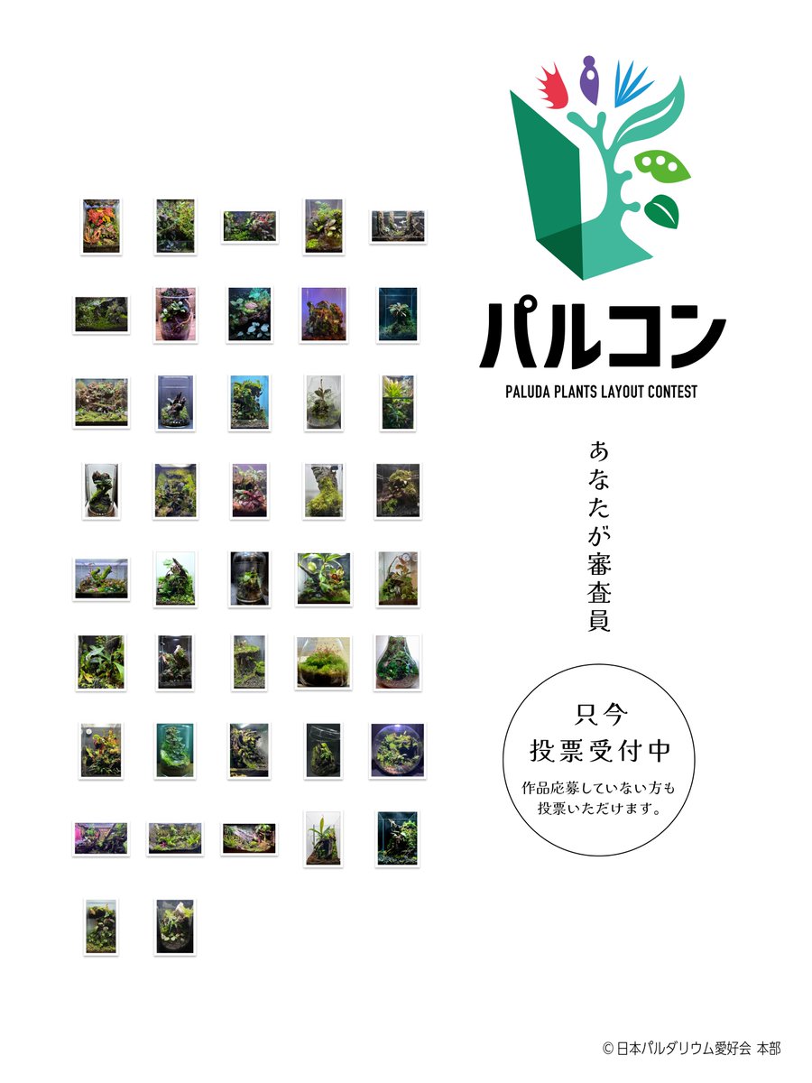 パルコン（パルダプランツ レイアウト コンテスト）
⚠本日投票締切!!⚠
作品の中から、あなたが感じる「最も優れた作品」に投票くださいませ！

▼全作品＆投票はこちらから  
pplc.my.canva.site/2025
#パルコン #パルダリウム #コンテスト #投票