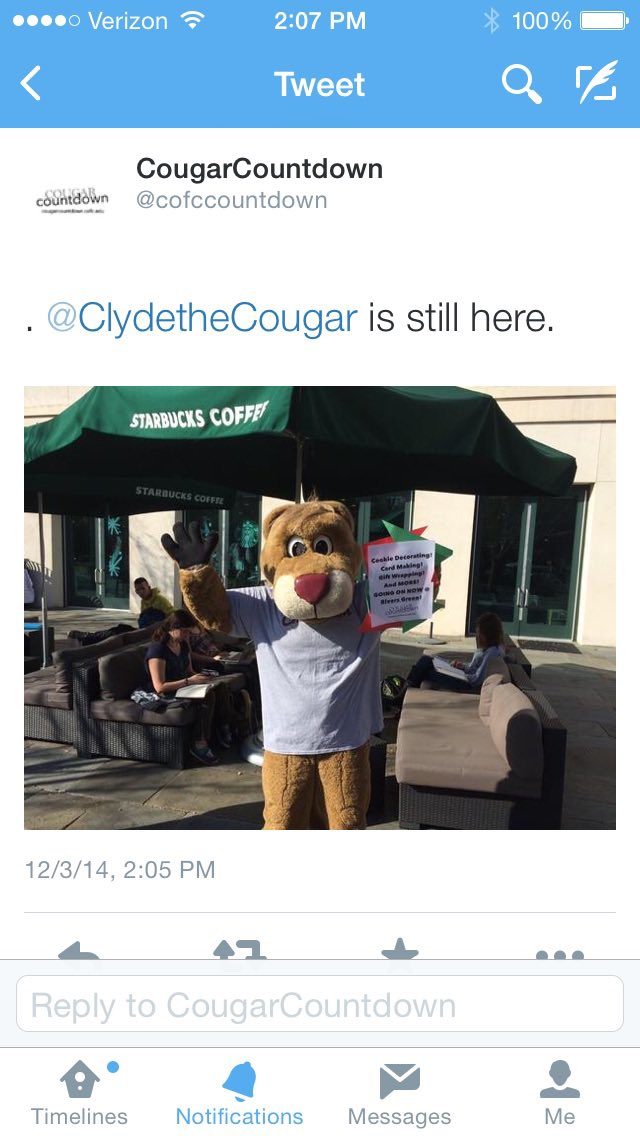 Jessica Rodgers tweet media