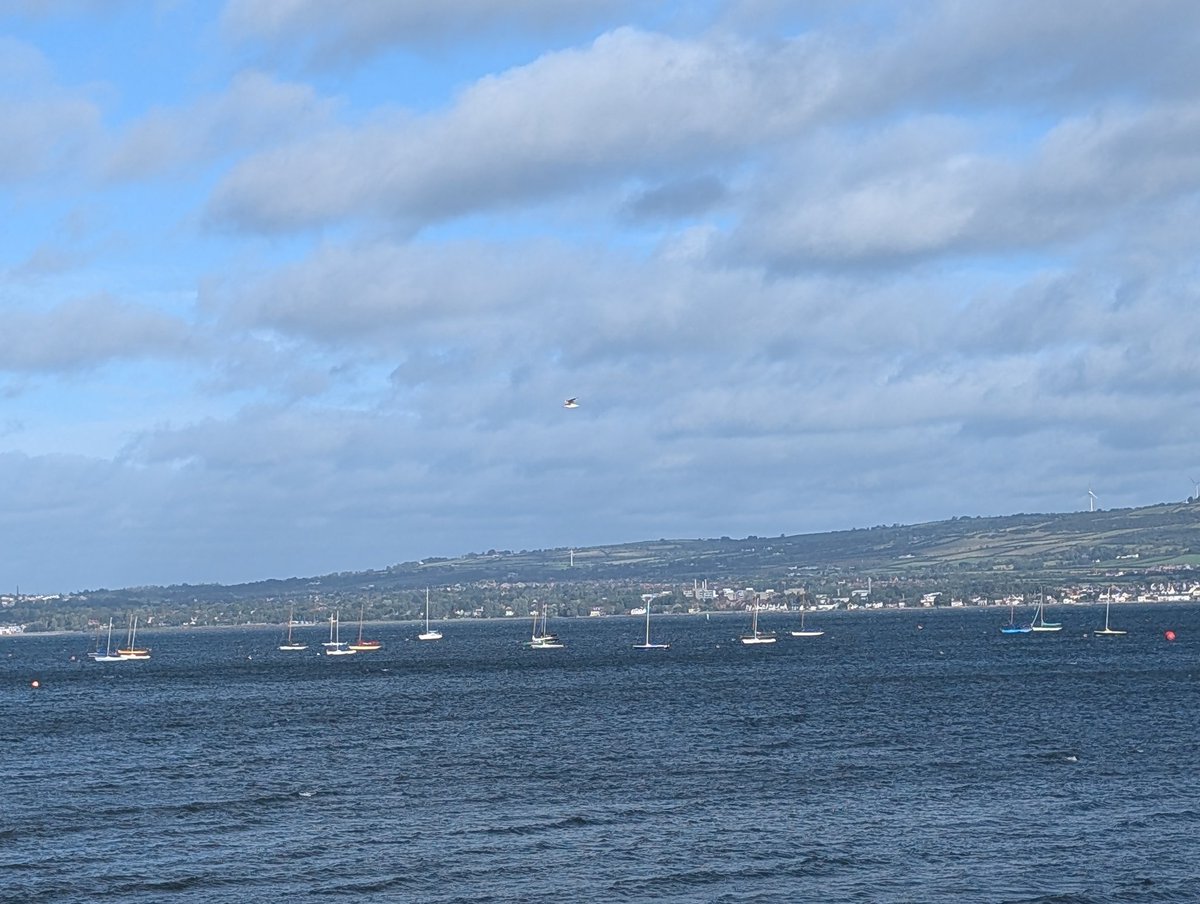 'The bonny boat was won ,as we sailed into the mystic.' #vanmorrison80