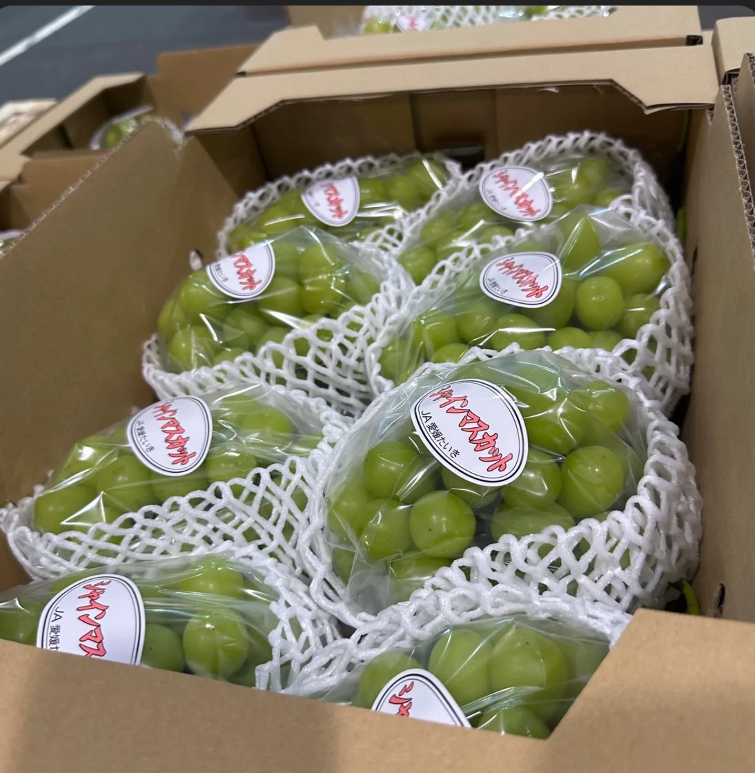 kudamogu's tweet photo. フォロワー4800人突破🏃‍➡️
シャインマスカット2kg
プレゼント企画🍇🎉

無料で旬の美味しいマスカットをお届け🎁
皮ごと食べられて冷やすと最高🤤

［応募方法］
①この投稿をリポスト
②@kudamogu @kaijulemoncider をフォロー
応募期限9/2 🍇
大人気　マスカット https://t.co/B7fELurNEt
