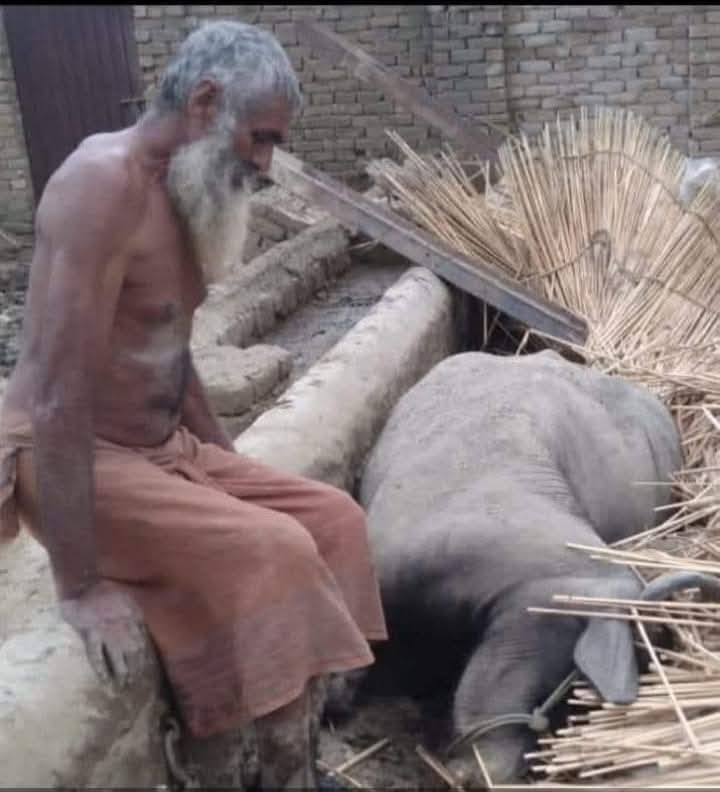 sidqeen's tweet image. چڑھ فریدا کوٹھے تے۔ویکھ گھر گھر لگی اگ
توں سمجھیں میں دکھی۔ایتھے دکھی سارا جگ