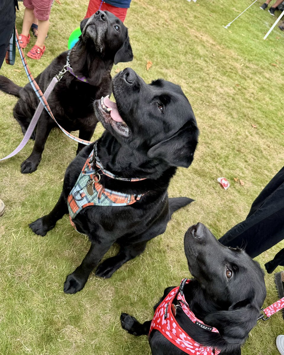 All 👀 on Dads hotdog 😂
Me 💜Jim 💙Maggie 🩷