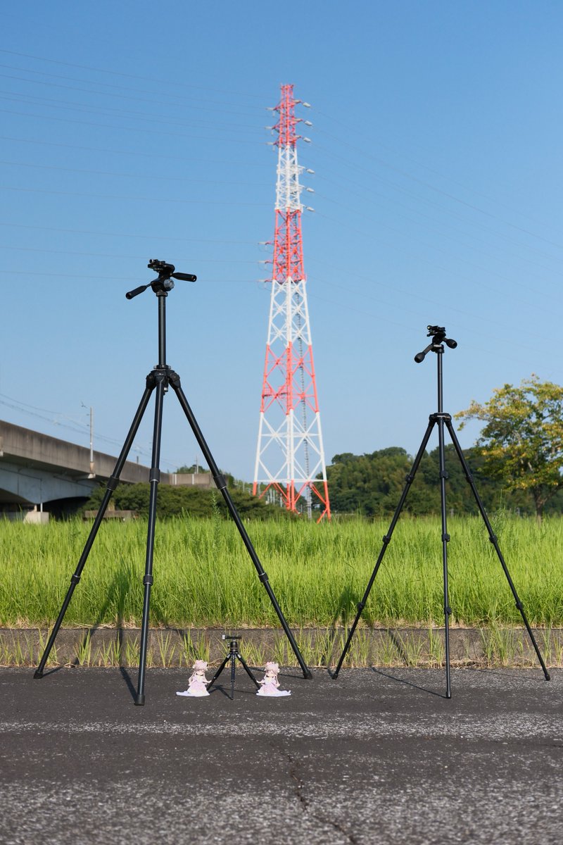 🐈「暑い…(ｼﾞｬｼﾞｬｰﾝ)」
🐈「眩しい…(ｼﾞｬｼﾞｬｰﾝ)」
ねこネコさんポーズ取って3分で切り上げました( ᐛ )ｱﾁｨ

急に三脚の写真撮りたくなる事ありますよね！
左のデカイ重いのは星景、右の一般的なサイズは普段使い、小さいのは小物用📷
でもいつもほぼ手持ち撮影だからあまり使わん