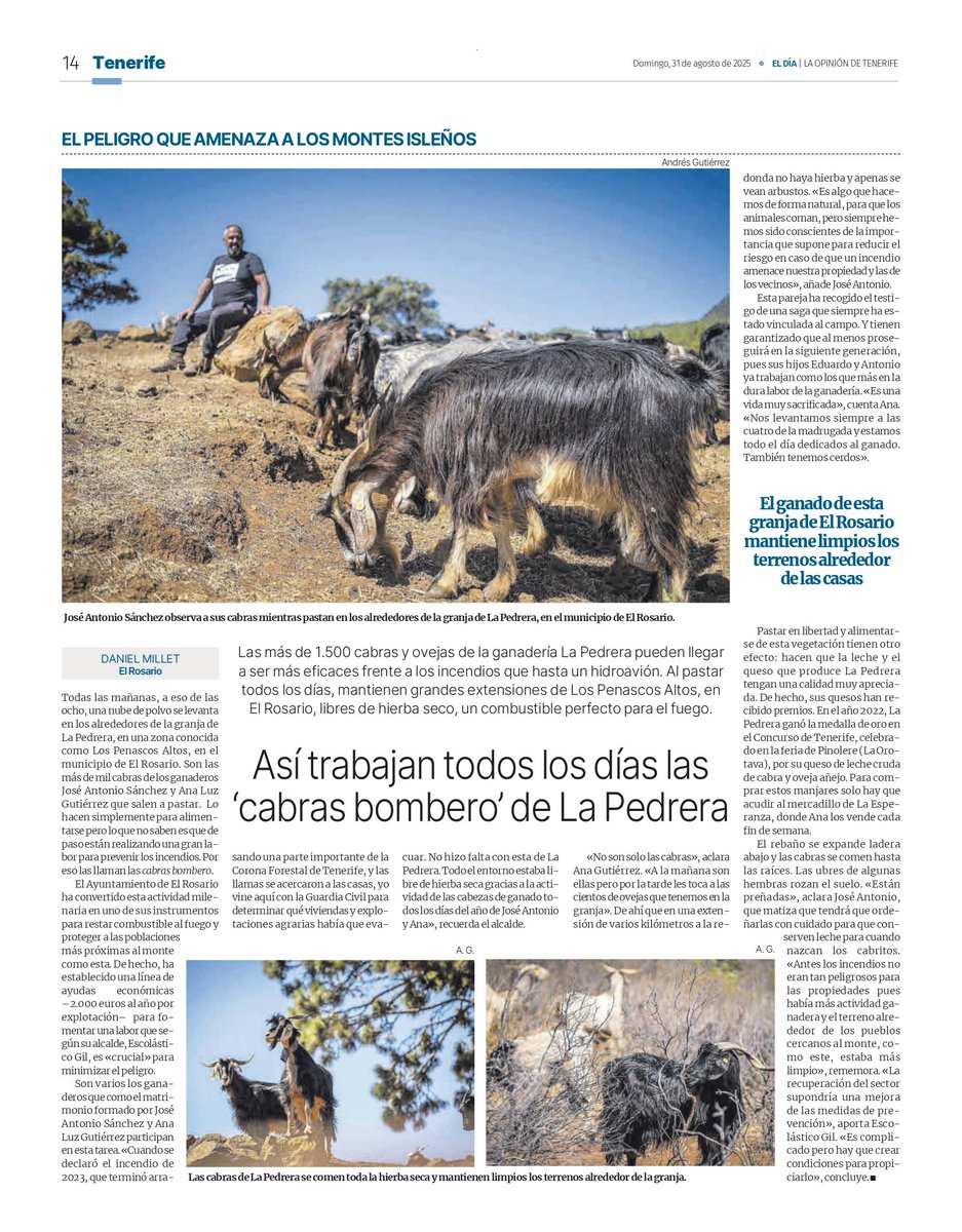 🗞 <a href="/eldia/">El Día</a> dedica hoy, domingo, varias de sus páginas a tratar las iniciativas puestas en marcha por <a href="/aytoelrosario/">Ayuntamiento de El Rosario</a> para prevenir los #incendios y que son ejemplo para otros municipios canarios.
* Tienes más información en la propia web del periódico en lc.cx/Gtxzai