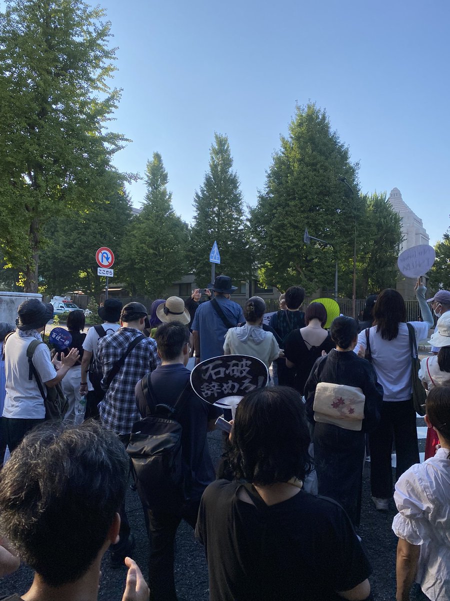 国会議事堂前　石破やめろデモ
想像以上にすごい人の海