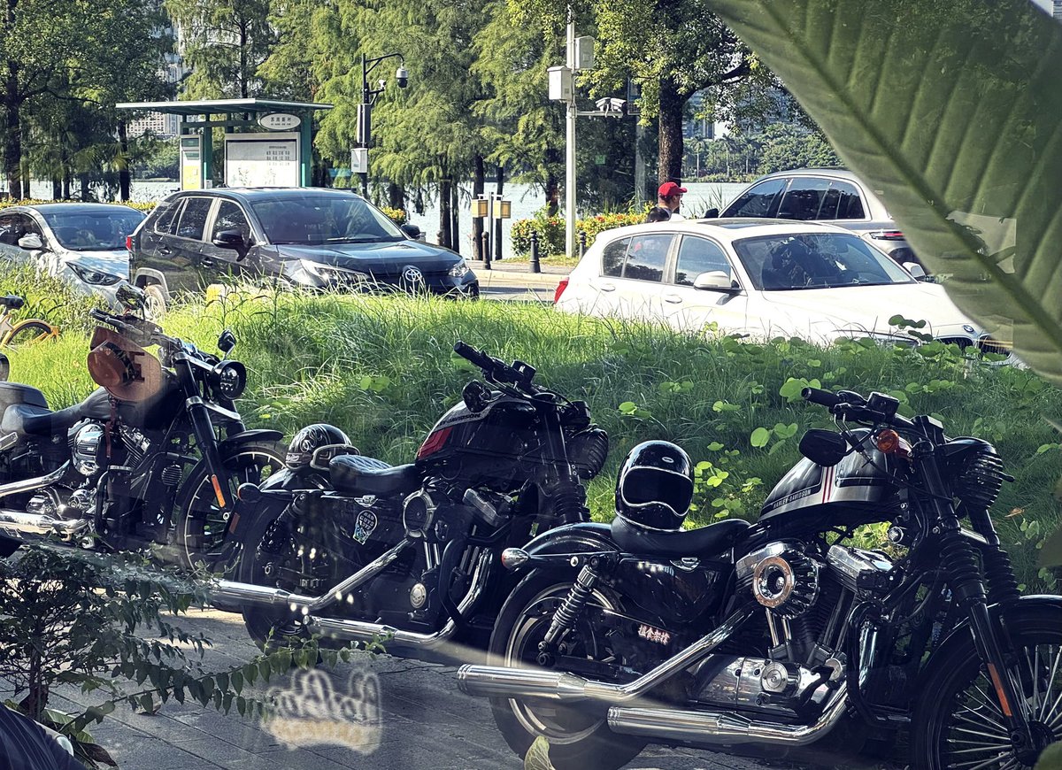 一柠 (@yingningwingo) on Twitter photo 