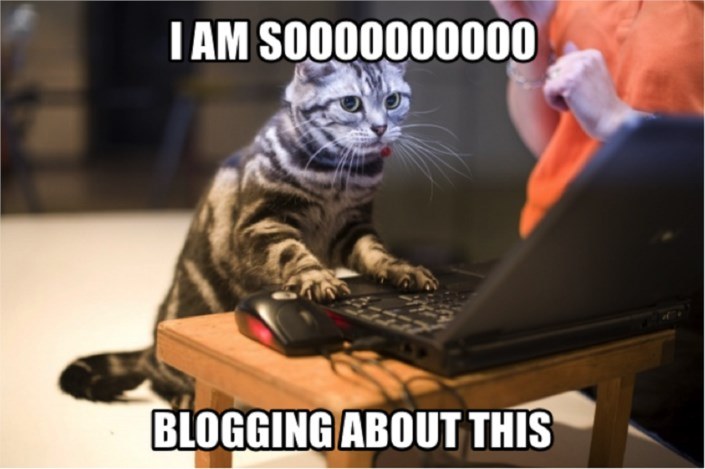 duomediaPR's tweet image. Your brain deserves better than doomscrolling. On #BlogDay, why not give it our blog instead:
- #Marketing in 2025
- Women in #printing
- #Emailmarketing tips
- AI-era email scams

What’s your pick? Or should we cook up a new one just for you?