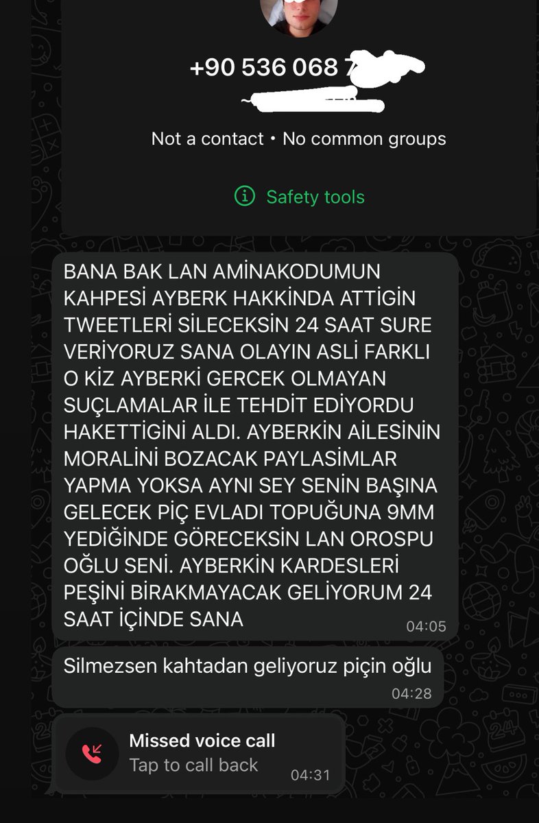 ‘Suça sürüklenen’ bir çocuğun bana attığı tehdit mesajı:

Bunu bulsalar ceza bile alsa belki hiç hapse girmez. Böyle olunca da istediğine zarar verip, tehdit edebiliyorlar. 

Bunlar böyle korundukça her şeyin daha fazlasını yaparlar.