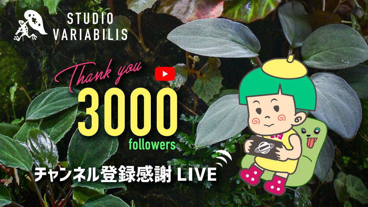 📢Youtube Live配信のお知らせ
スタジオバリアビリスのYouTube「パルダリウムの秘密基地」のチェンネル登録3,000人を超えました！
日頃より沢山のパルダリウムファンの方にご覧いただきありがとうございます😉

感謝を込めて、本日21:00より感謝ライブを配信！