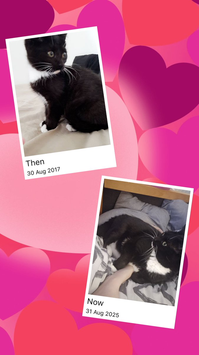 Can't believe we've had her for 8 years already~!♡