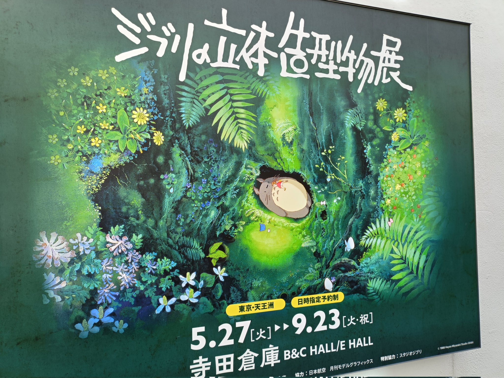 ジブリ画集 風の谷のナウシカ』に関する画集が7月8日に発売へ 「ナウシカ前