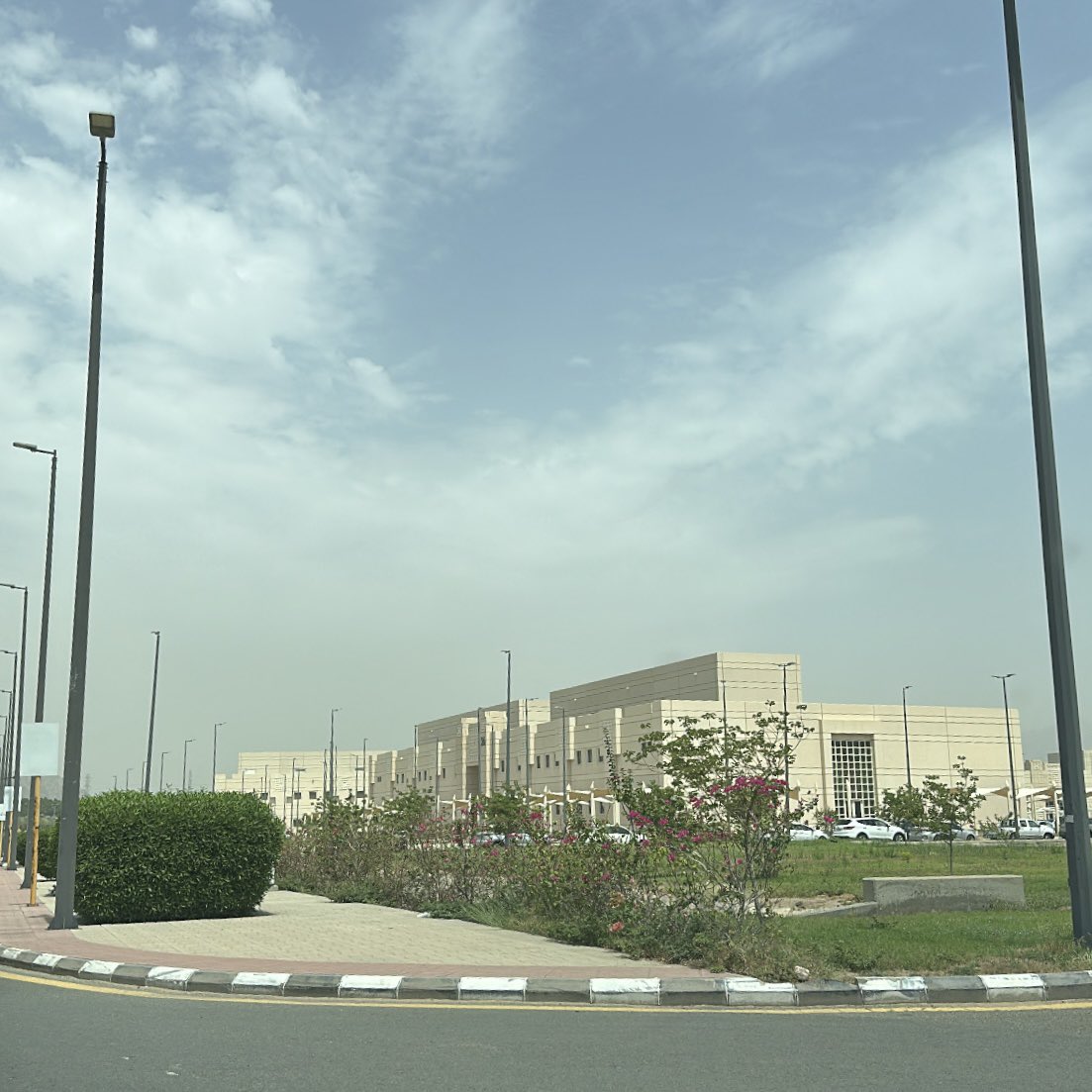 tuokll's tweet image. 