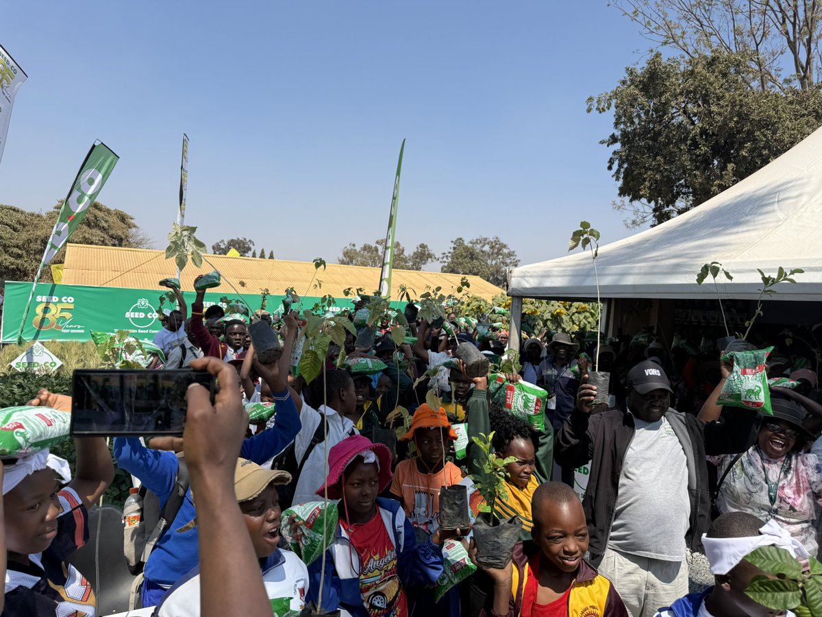 Dior Pote tweet media