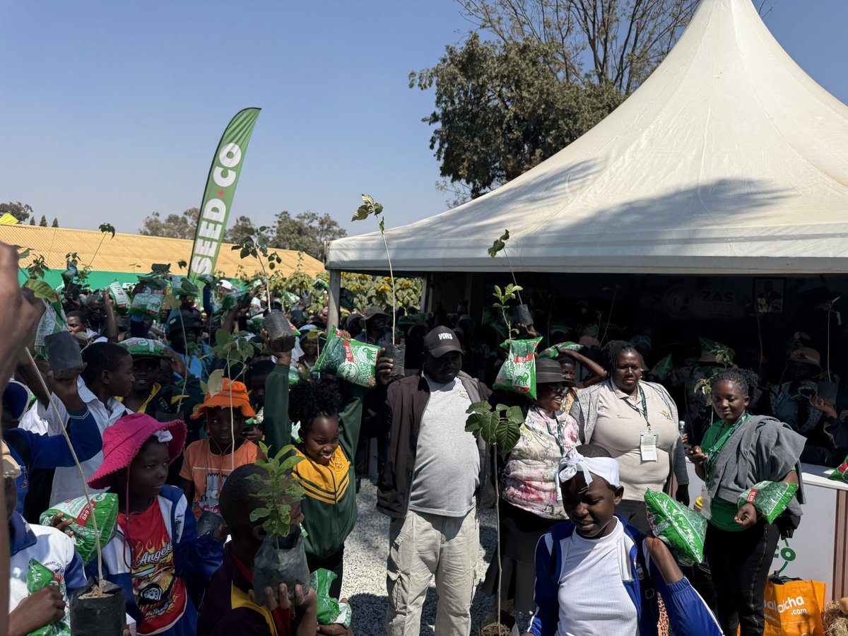 Dior Pote tweet media