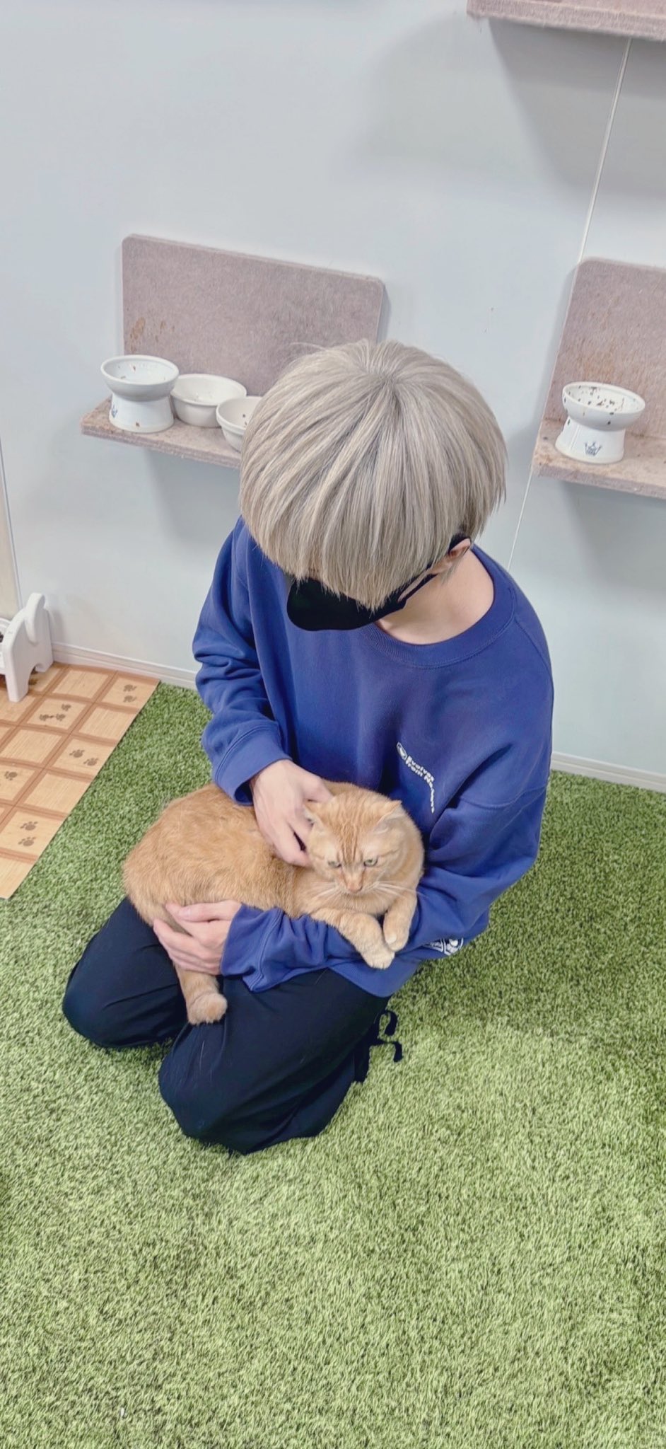 まふまふ＠12/25『世会色ユニバース』 (@uni_mafumafu) / X