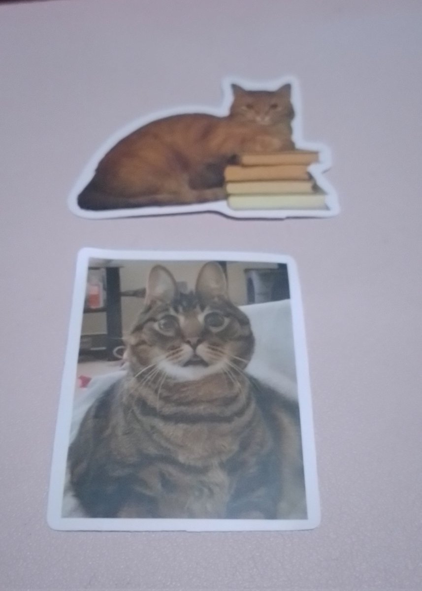 Adik mina (ken) : "teh sini, teteh mau stiker ga? teteh pasti suka sama stikernya"

Stikernya :