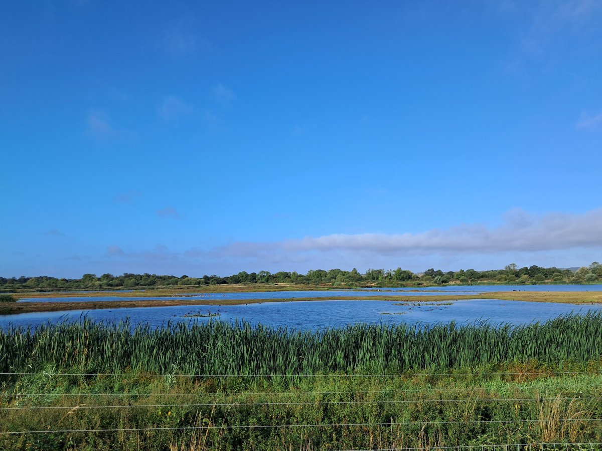 Phil Andrews (@pmandrews1973) on Twitter photo 2 juvenile Curlew Sandpiper giving excellent views at Middleton Lakes on West Scrape from the path. Also 2 Ruff, 4 Blackwits, 2 Green Sand, 6+ Snipe, 14 LRP, 2 Garganey (West Scrape), GW Egret, 4 Swift, Hobby
<a href="/Staffsbirdnews/">Staffs Bird News</a> <a href="/MercianBirding/">Mercian Birding</a> <a href="/RSPBMiddleton/">RSPB Middleton Lakes</a> 2 juvenile Curlew Sandpiper giving excellent views at Middleton Lakes on West Scrape from the path. Also 2 Ruff, 4 Blackwits, 2 Green Sand, 6+ Snipe, 14 LRP, 2 Garganey (West Scrape), GW Egret, 4 Swift, Hobby
<a href="/Staffsbirdnews/">Staffs Bird News</a> <a href="/MercianBirding/">Mercian Birding</a> <a href="/RSPBMiddleton/">RSPB Middleton Lakes</a>