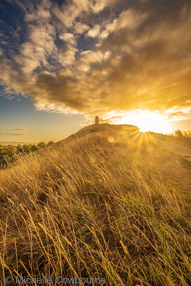 Portrait in Gold. The last day of meteorological Summer delivered a lovely sunrise for us here in Glastonbury.