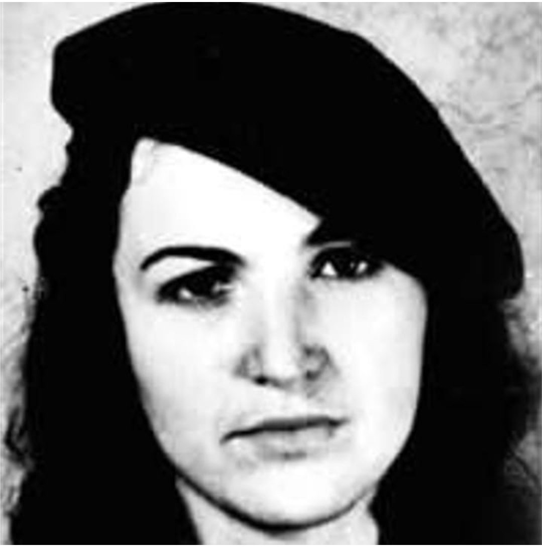 Red Planeta tweet media