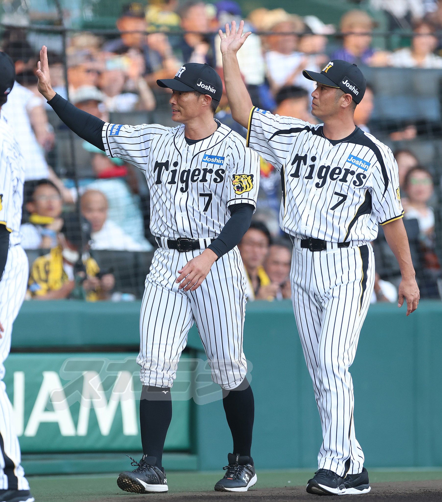 Tigers ユニフォーム 星野監督77番MEN'SLサイズ ホワイトストライプ Tigers ユニフォーム 星野監督77番MEN'SLサイズ ホワイト
