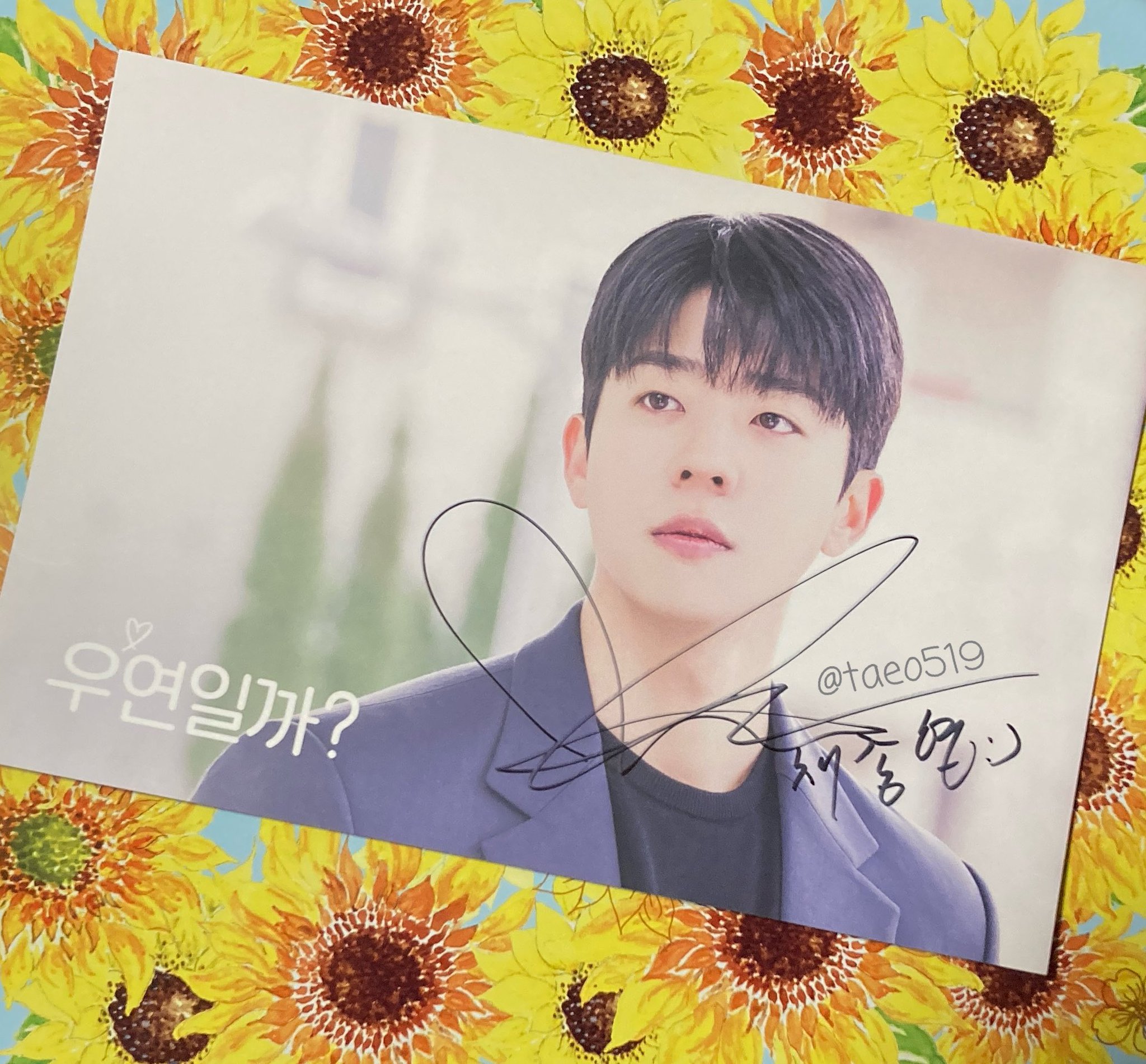 𝚁𝚞𝚘:) 🌻🐶 on X: 